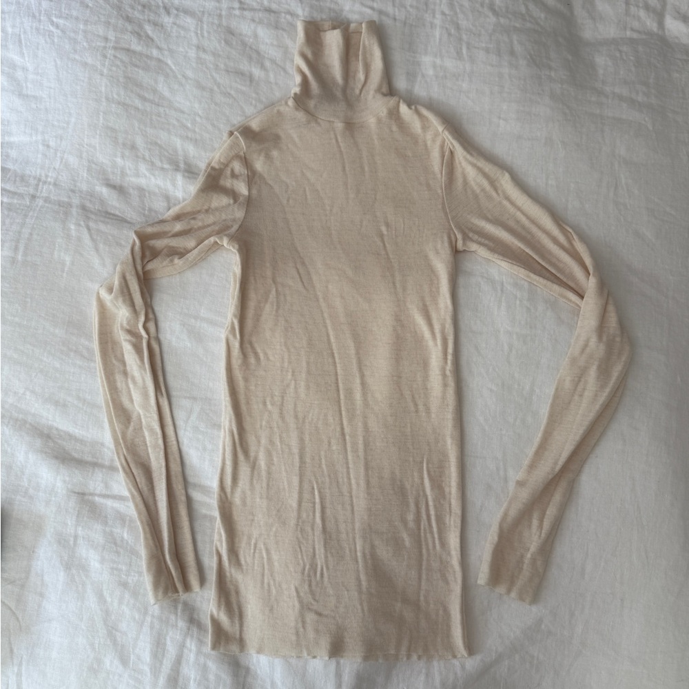 COS gauzy sheer tight wool turtleneck
